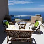 Sun Gazing Drymon